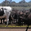 우용농장 이미지