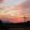 월출농장 이미지