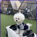 힐포인트 이미지