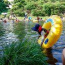 강정동-71 | 강정천 1급수 제주 계곡 스노쿨링 백숙 유원지 물놀이