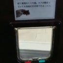 묘주가 이미지