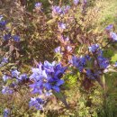 고재형농장 이미지