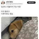 성림목욕탕 이미지