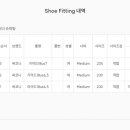 피팅의원