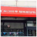 도그마루 강아지 고양이 성남분당점 이미지