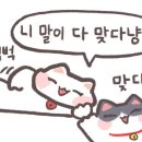 제주하멜