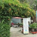 옹심이칼국수 팥죽 이미지