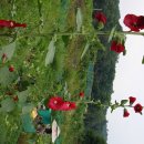 천은농장 이미지