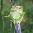 김중환농장 이미지