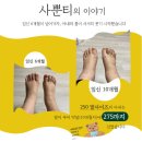 크레데레