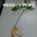 새말골 이미지