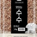 수수전기