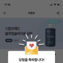 블루메드 네이버블로그