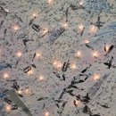 방촌 허약국 앞 | 데이미언 허스트: 진실은 없어 그러나 모든 것은 가능하지_국립현대미술관 서울관