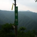 도마치계곡 이미지