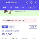 현대7호 이미지