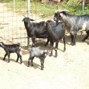 증평지역자활센터 이미지