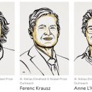 세계로전자 이미지