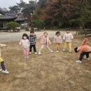 시립영화어린이집-1구간 | 우리들 자연학교 11월 14일 고양 시립 이음 어린이집 별숲반 수업 후기