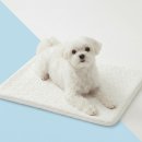 시온펫 | 시온 강아지쿨매트, 듀라론 냉감패드와 아이스젤매트의 극강의 조합!