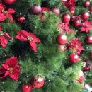 바이오메딕스코리아 이미지