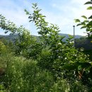 조아조아놀이터 이미지