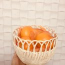 무등청과 | 무등시장먹거리 화순청과 싱싱한 천혜향 진짜맛있다!