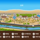 고래불국민야영장 이미지