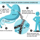 델포이내과의원 이미지