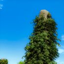 염치약국 이미지