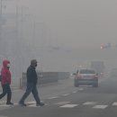 [속보] 안동 산불, 시내 방향으로 틀었다…주민 대피령 이미지