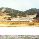 합천명품토종흑돼지 이미지