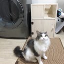 다람쥐목공방 이미지