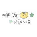 해돋이맛김