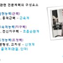 트레이닝론 이미지