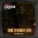 이기대공원(큰고개쉼터) | 부산 이기대 반딧불이 축제 갤럭시 촬영 꿀팁 장마철여행