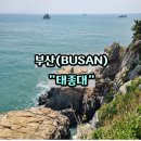 태종대종점유람선매표소 | 태종대 다누비열차 코스 총정리 유람선 해녀촌까지