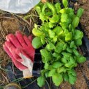 불암농장 이미지