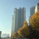 동대문엽기떡볶이구미봉곡점 이미지