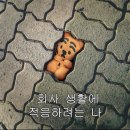 갤러리 정리함3 이미지