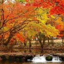 텅빈충만 이미지