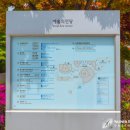 에스에이치서울