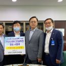 푸른신창 이미지