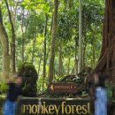 안경친구(감전점) | 심슨이 일상-136 "신혼부부 호주워홀 발리여행 몽키포레스트 우붓투어 내돈내산 인도네시아여행 우붓가...