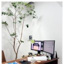 헤어로의원 이미지