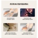파우제 - 부평구 | 파우제