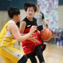 선일초교 이미지