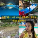 용흥사 - 1759 | [담양 풍경펜션]담양 용흥사 계곡 음식 주문 없이 평상만 대여해서 물놀이하고 온 후기!