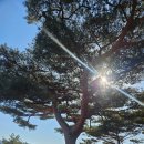 양헌수 | 강화 삼랑성(정족산성) 둘레길