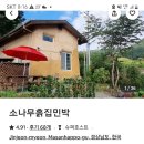 소나무흙집민박 이미지